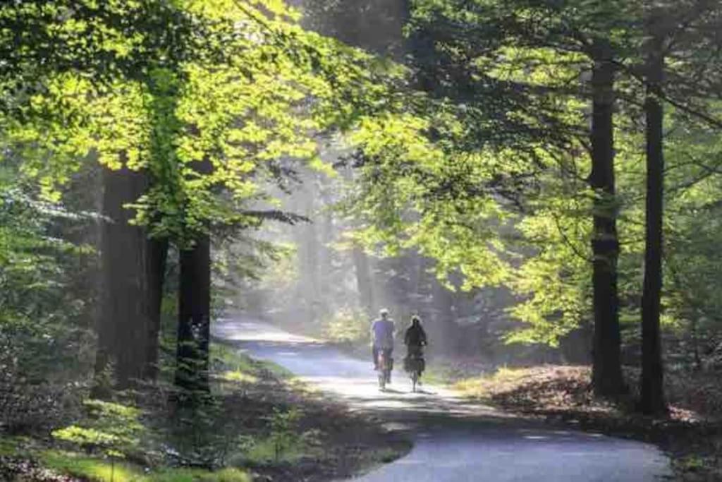 Chalet Toetje Op De Veluwe Hoenderloo Kültér fotó